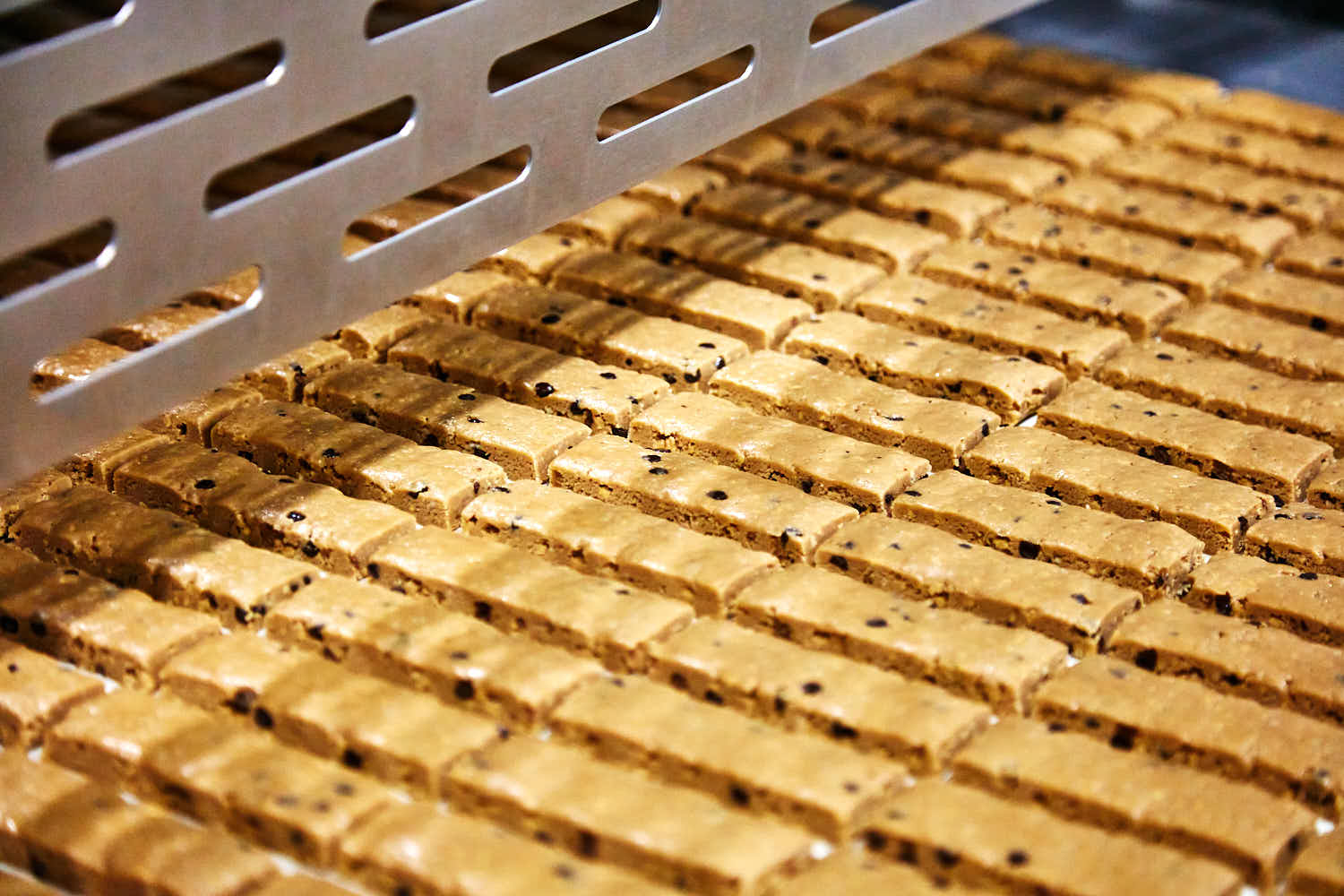Energy and protein bars